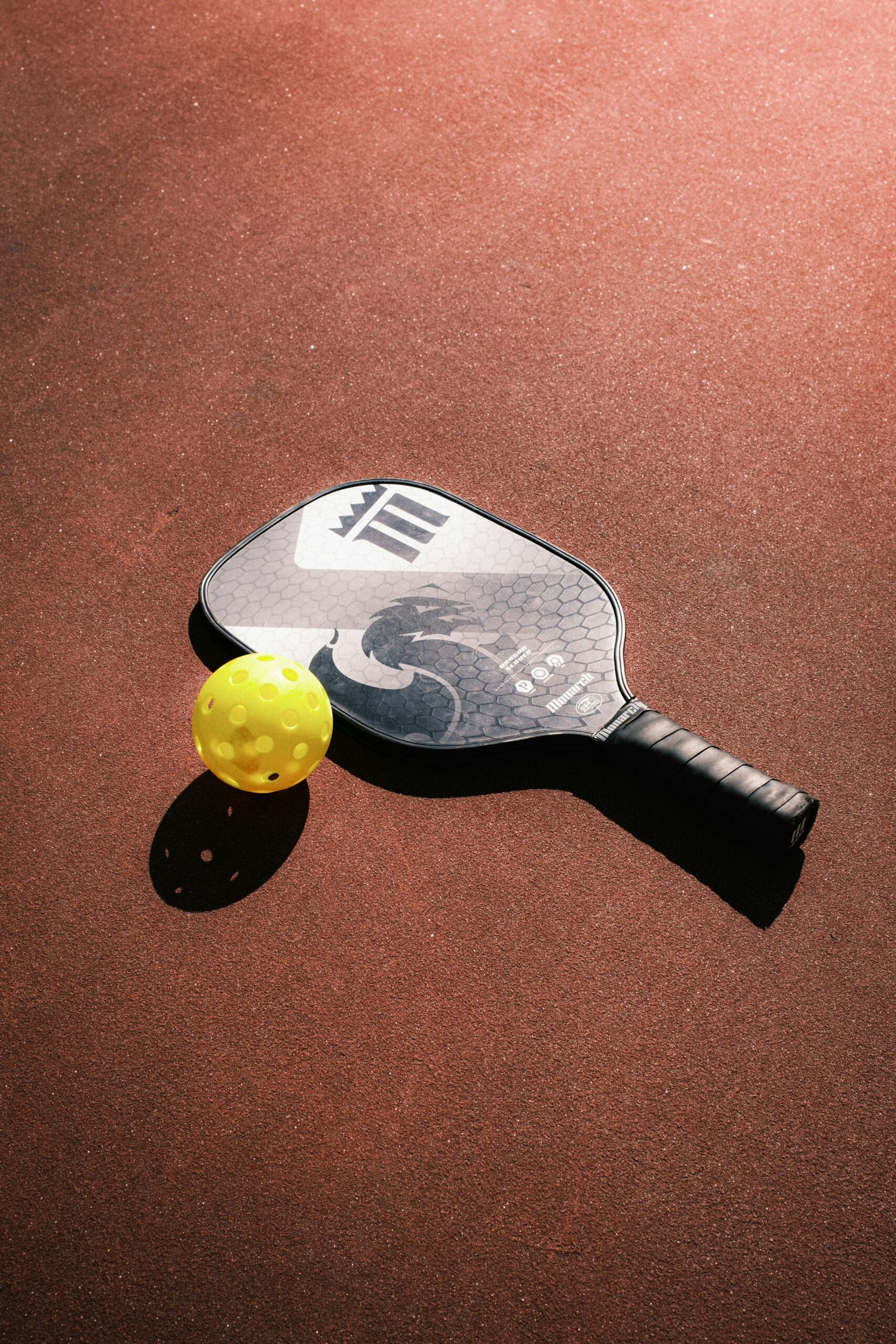 Pickleball Racket and Ball